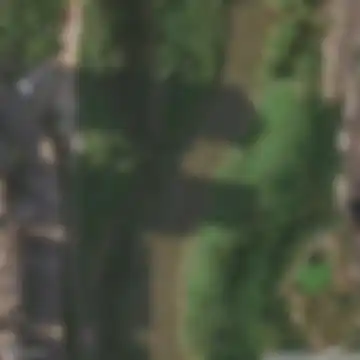 Shadows of the Vector