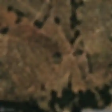 Cortijo de Vicente Simón