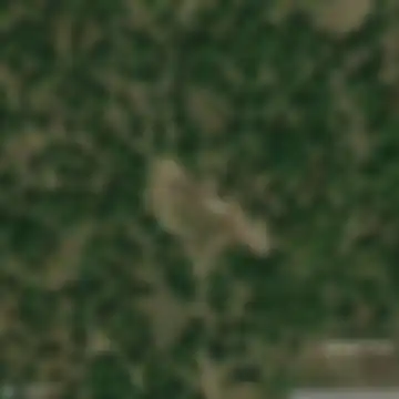 Հաղարծին
