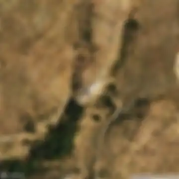 Fondón