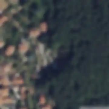 Bergiola