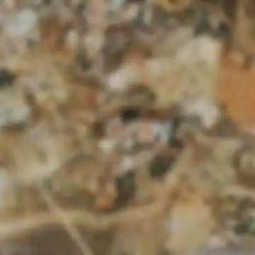 Los Ramos, Sorbas