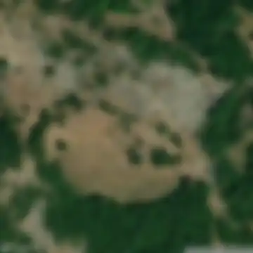 Petrovići