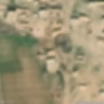 سعيد, سكمان العلي