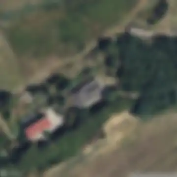 Coltano