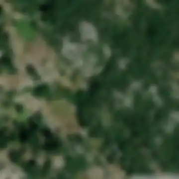 Ćurćići