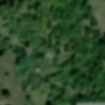 Đape, Bastasi