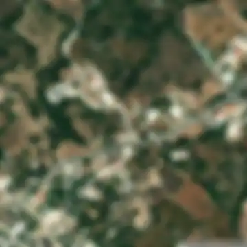 Ίνεια