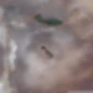 Beja