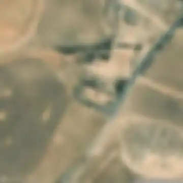 رد شقرا