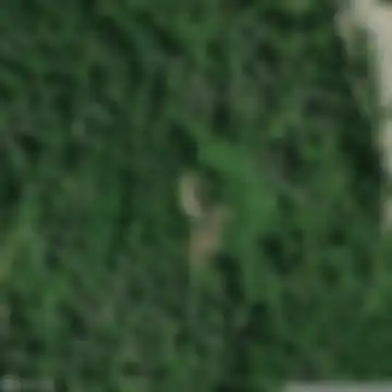 Apecchio