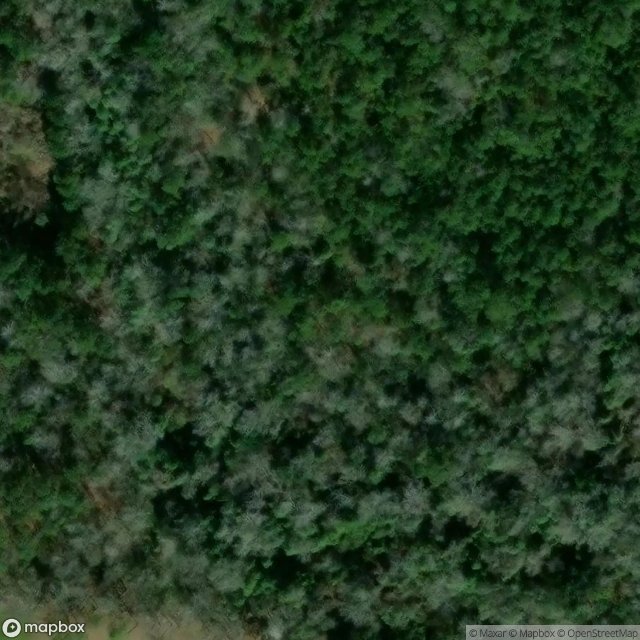 Holly Ridge