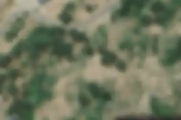 Albertacce