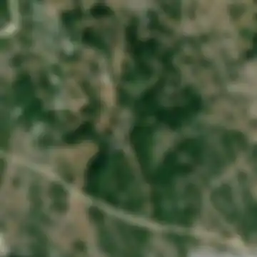 Mrež