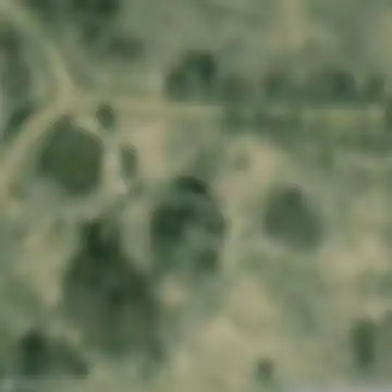 Udomlya