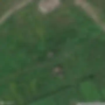 Нижнепетропавловское