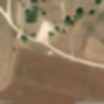 סינגל מורדות הגלבוע, מועצה אזורית גלבוע