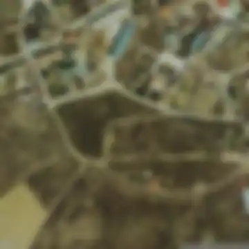 Cabreros del Monte