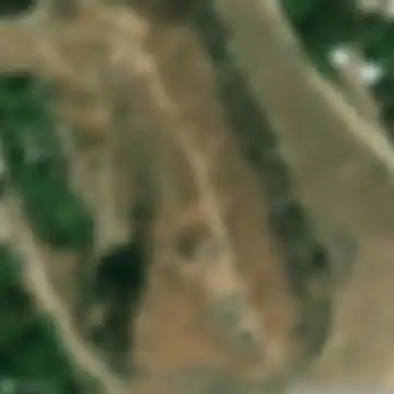 Պալատական սենյակներ