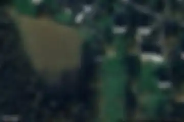 DEAD SPOT : Forest House / Maison de la Forêt [BR]
