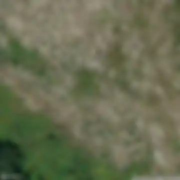 Lettomanoppello