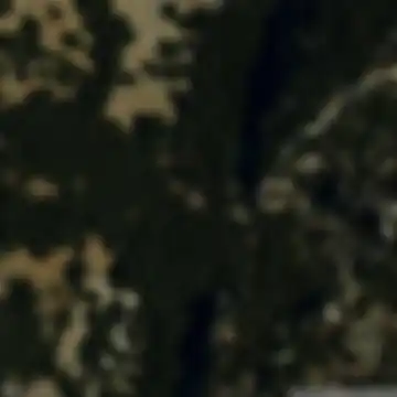 Cazorla