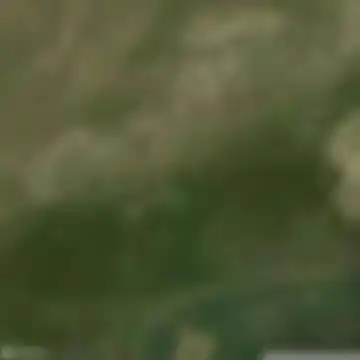 Արդենիս