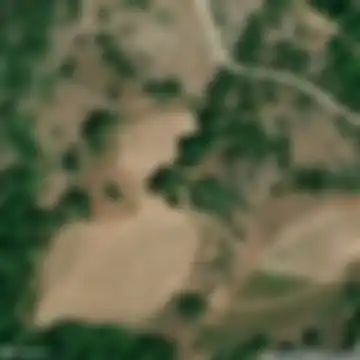 Kamenica, Vučido