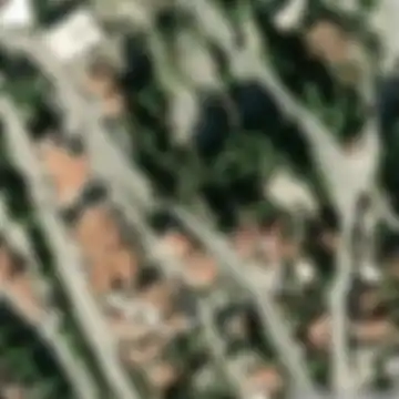 Neum