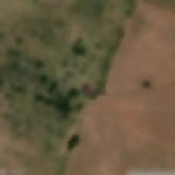 Florida, 94000