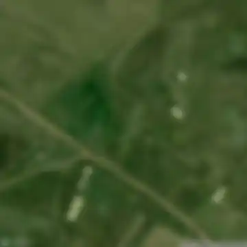 Քարաձի