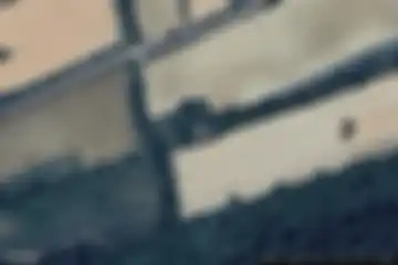 Ribaute