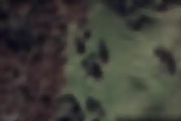 Pialeràl, Pasturo