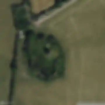 Traces of the Vector