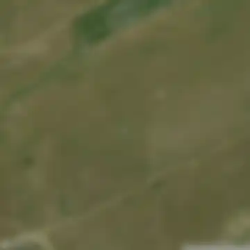 Y32-18;Y32-19, Zar
