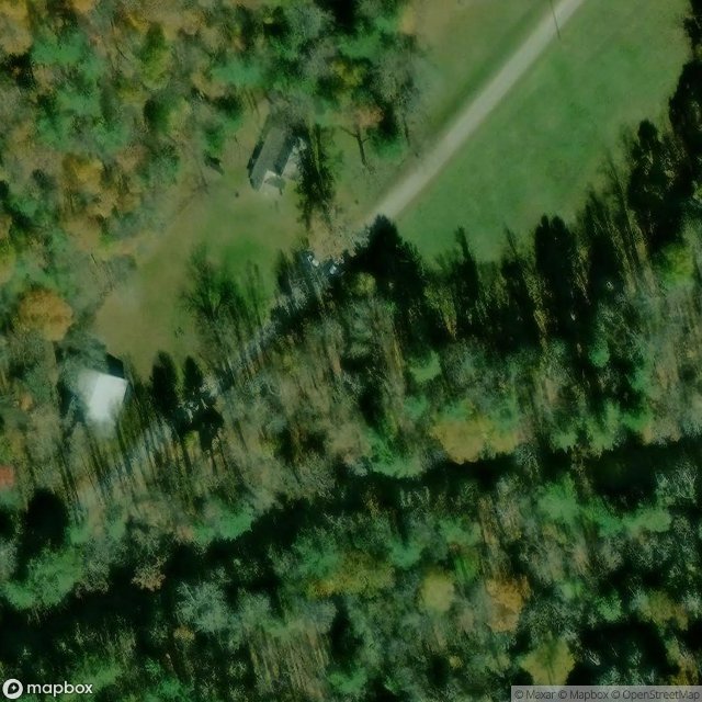 Traces of the Vector