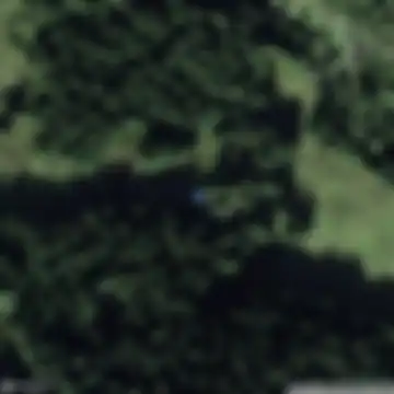 Arni, Gurtnellen
