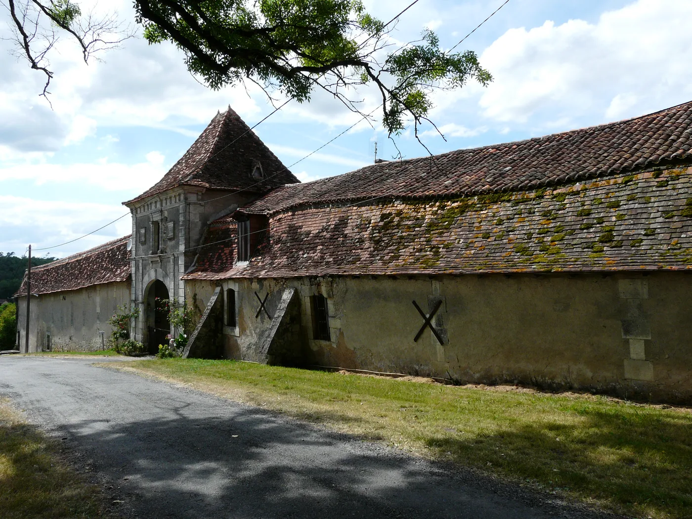 Facade of the abandoned Château de Segonzac in the Dordogne, overgrown with vegetation
