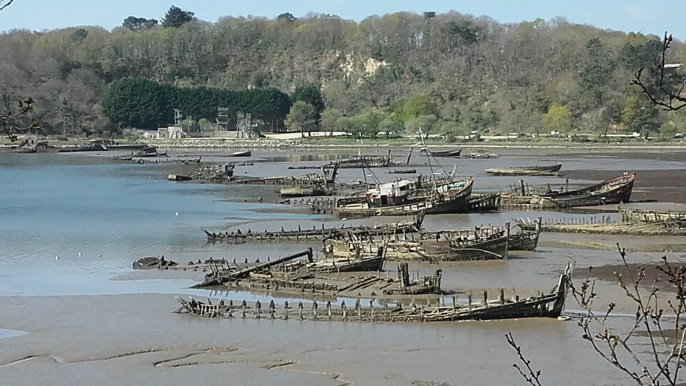 The Kerhervy ship graveyard at Lanester, wooden wrecks beached in the mud of the Blavet