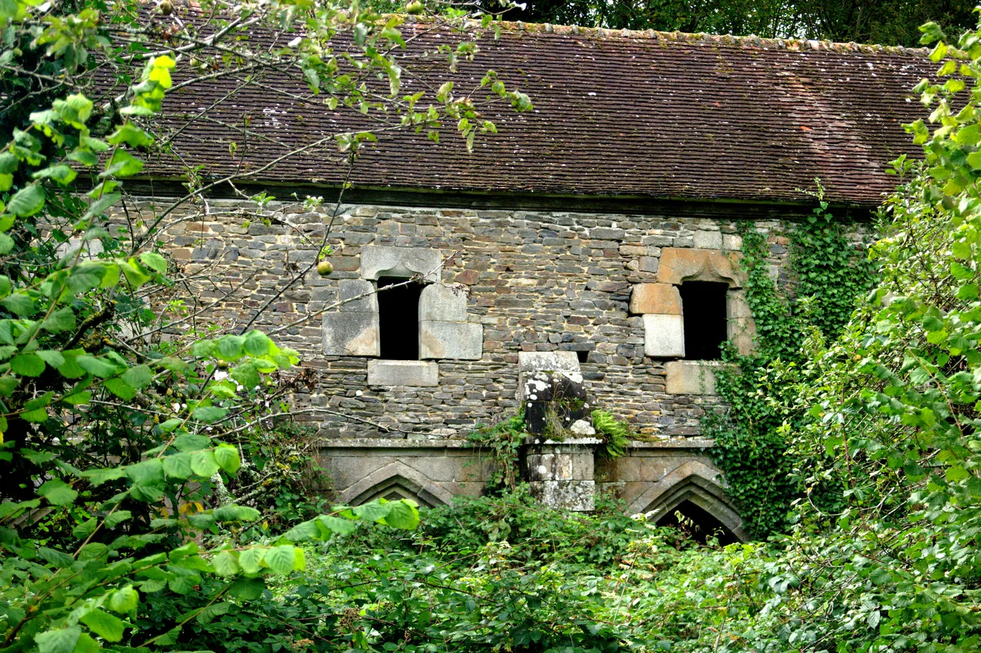 The ruins of Belle-Étoile Abbey at Cerisy-Belle-Étoile in the Orne