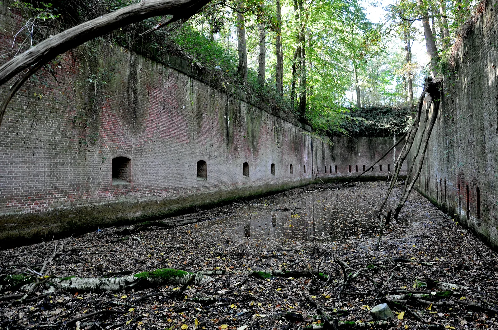 Moat of the Fort van Steendorp, long brick wall pierced with loopholes, overrun by trees