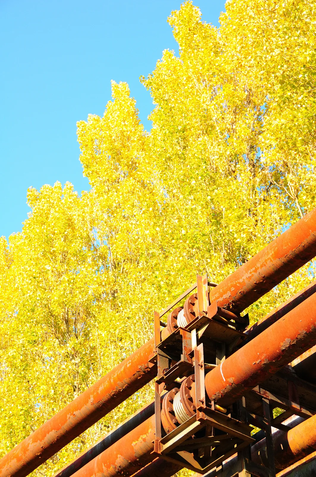 Rusted overhead oil pipelines at the abandoned Petroleum-Zuid site in Antwerp