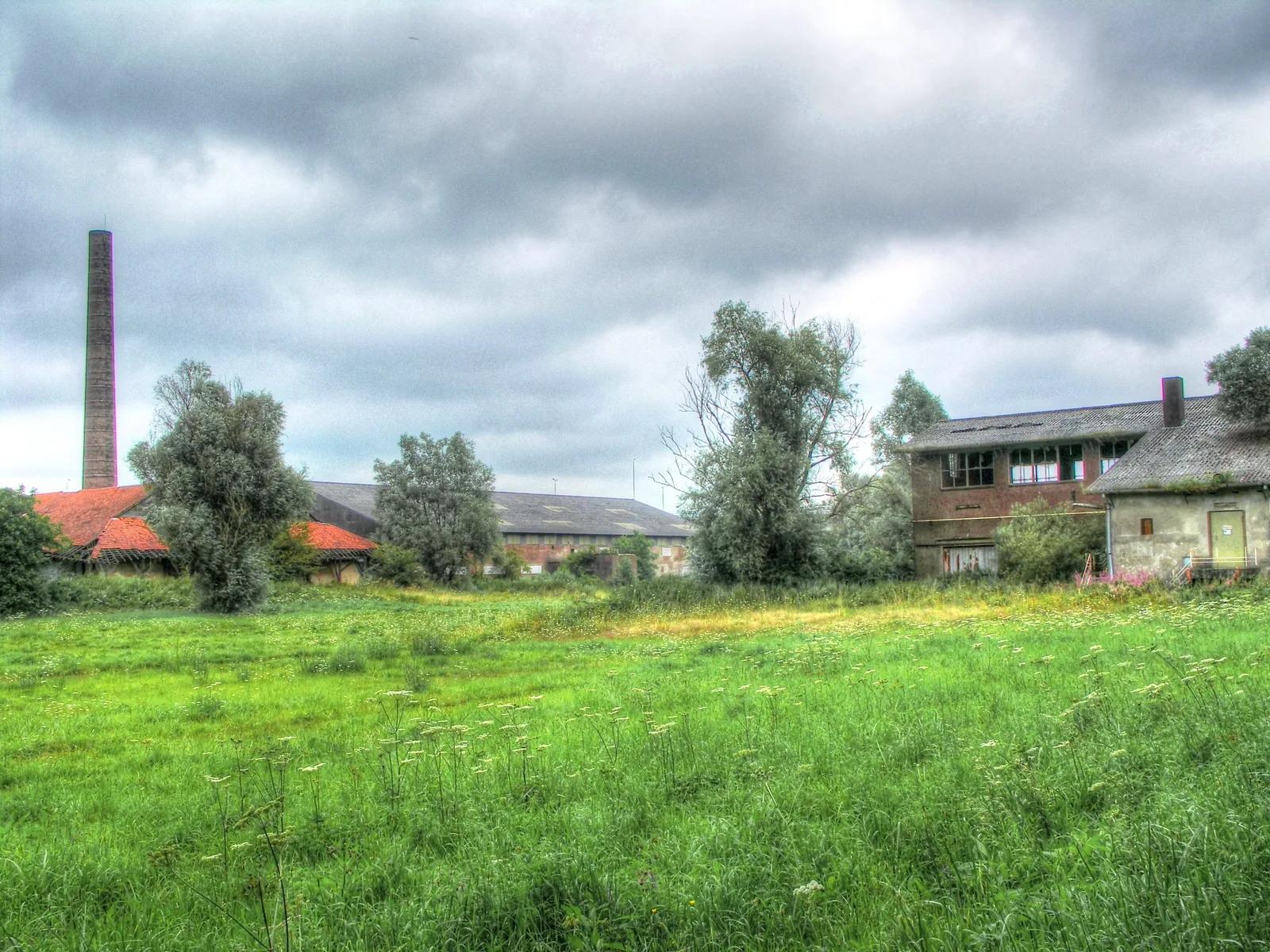 Abandoned De Emptepol brickworks in Westervoort with a tall chimney and derelict factory halls in the grass