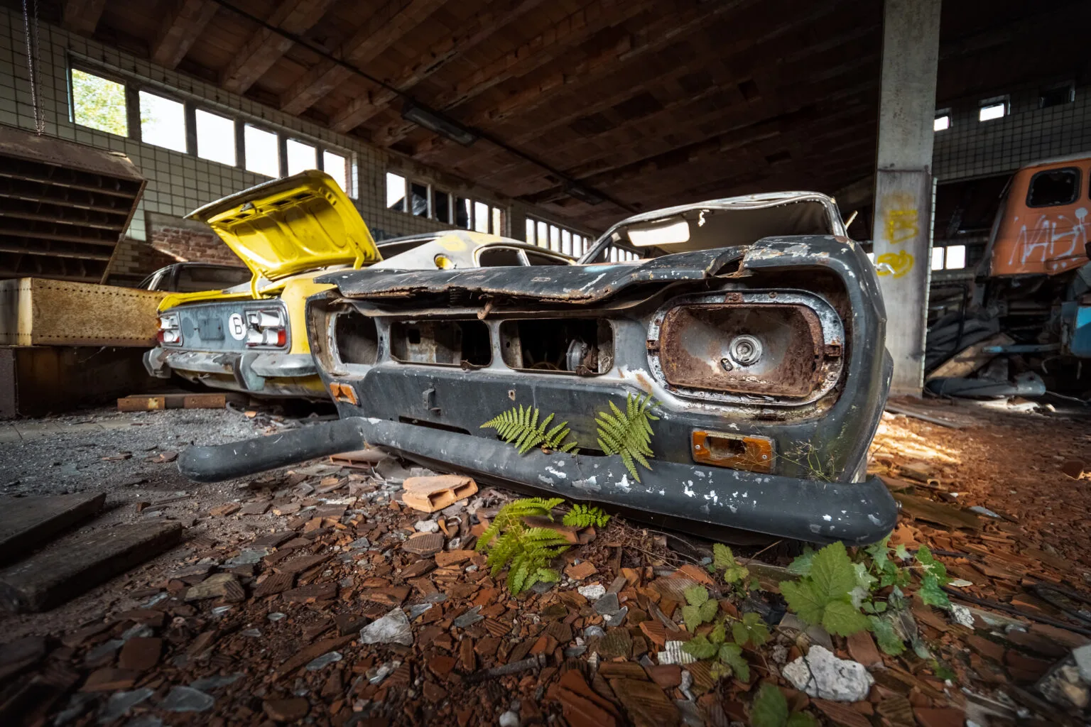Rusty Ford car carcasses overrun by vegetation in a hall of the abandoned Charbonnage du Renard colliery, near Liège
