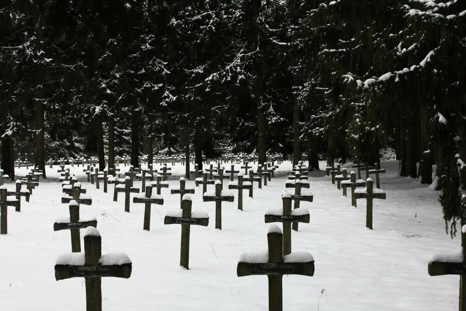 Rows of snow-covered wooden crosses on the abandoned cemetery of the Rekem psychiatric hospital among the spruce trees