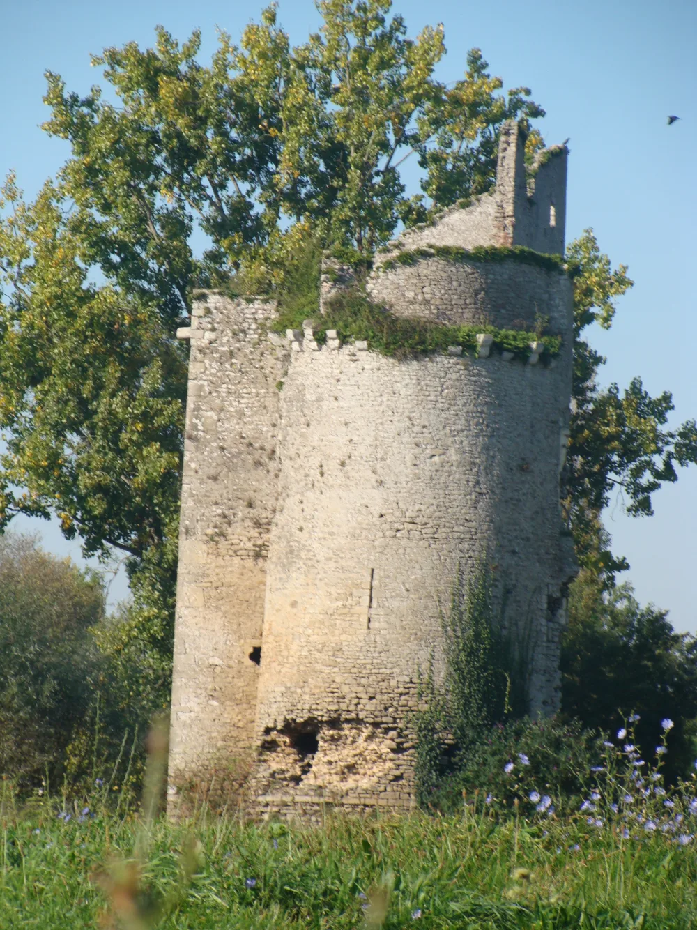 Ruins of the Chateau de Machecoul, former fortress of Gilles de Rais, in the pays de Retz south of Nantes