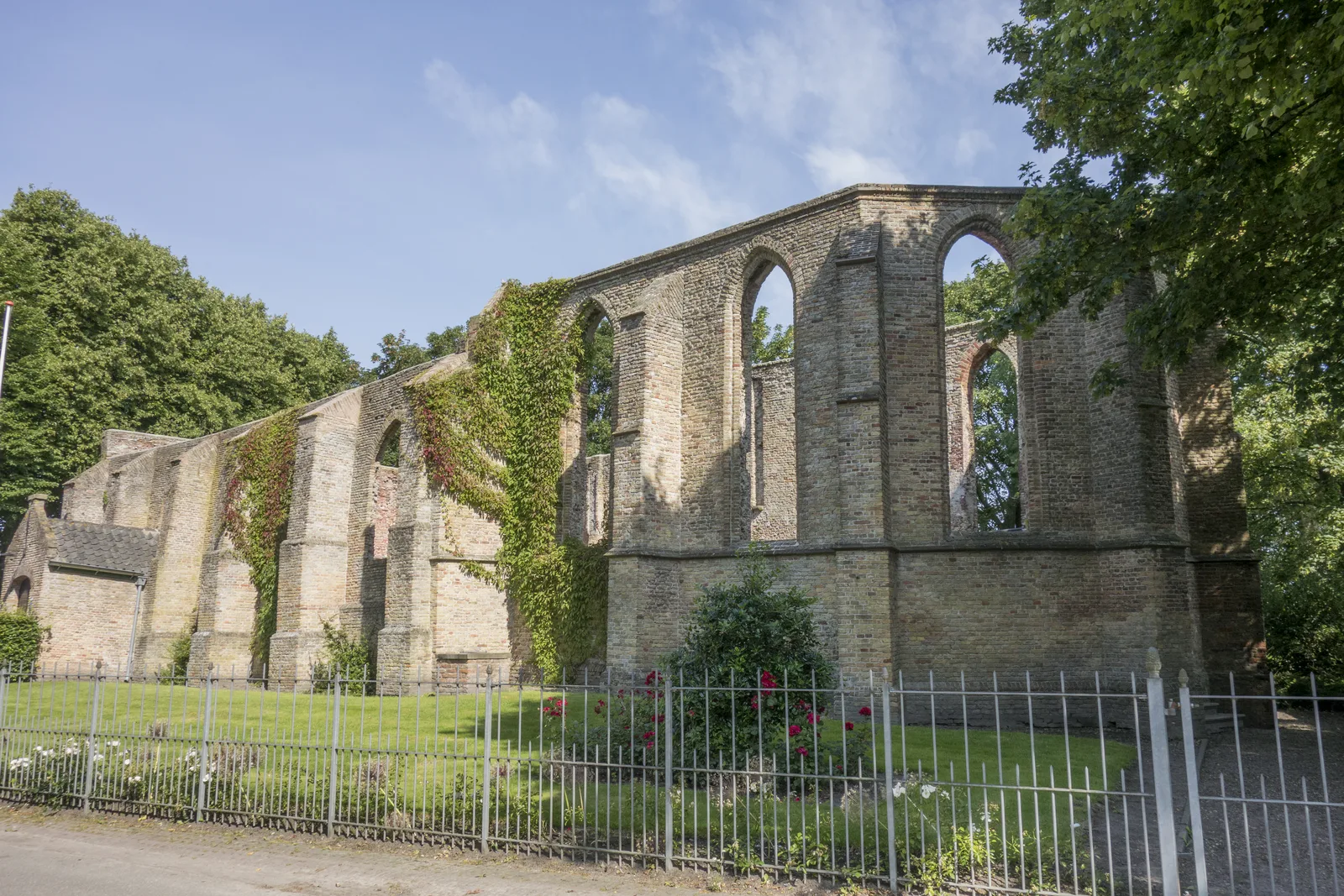 The roofless ruined church of Oude Niedorp, with Gothic windows and ivy-covered walls