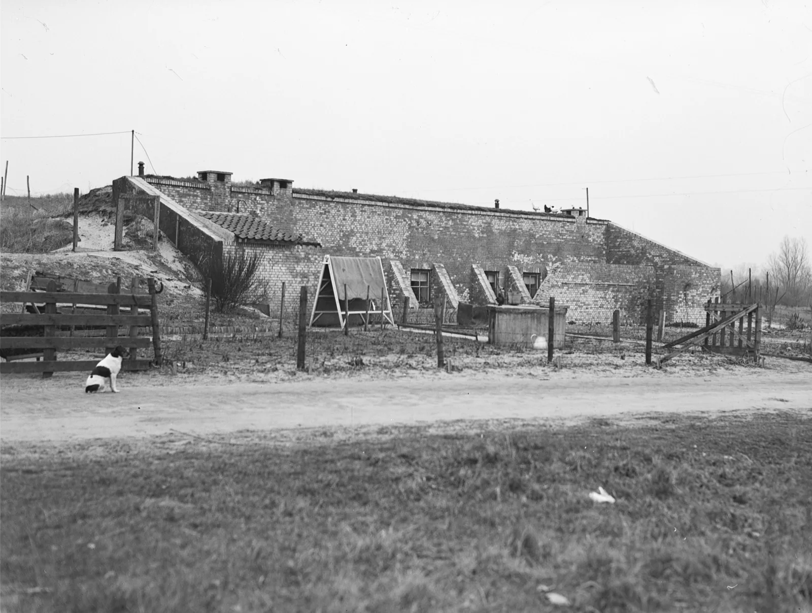 Abandoned German Atlantic Wall bunkers in the dunes between Oostvoorne and Rockanje
