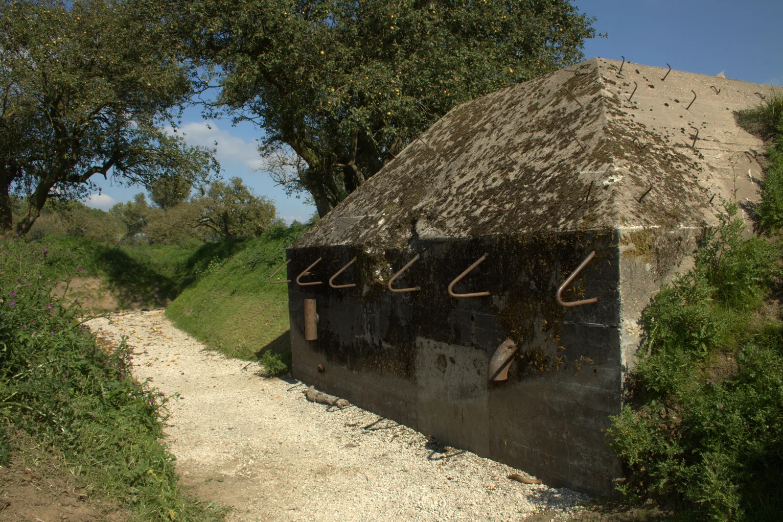 An overgrown concrete group shelter with rusty hooks at the Werk aan de Groeneweg near Schalkwijk